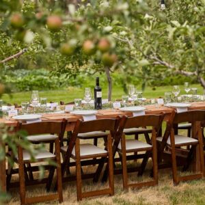 Wedding,Table,In,An,Apple,Orchard,,Ready,For,Guests.